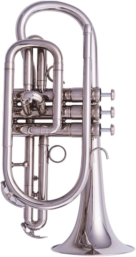 Trompeta en Si Bemol Instrumento de Viento Metal Profesional con Boquilla 7C y Accesorios de Limpieza