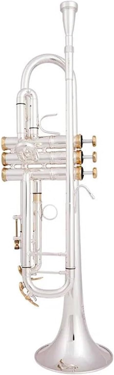 Trompeta BB Plateada y Dorada Instrumento Musical Profesional con Estuche de Transporte