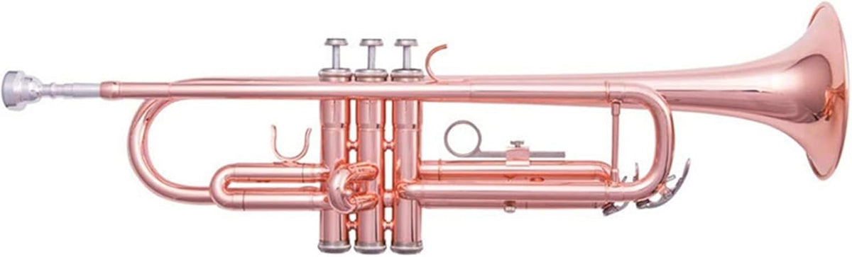 Trompeta en Si Bemol Instrumento de Viento Latón Profesional para Estudiantes y Bandas Sonido Brillante y Estable